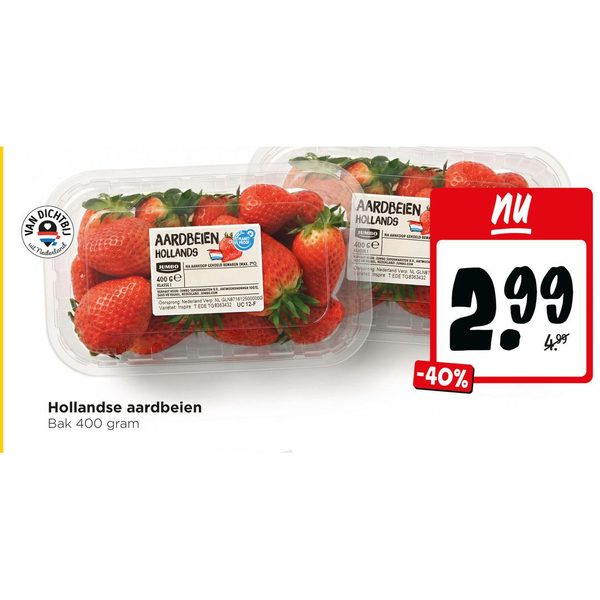 Hollandse aardbeien